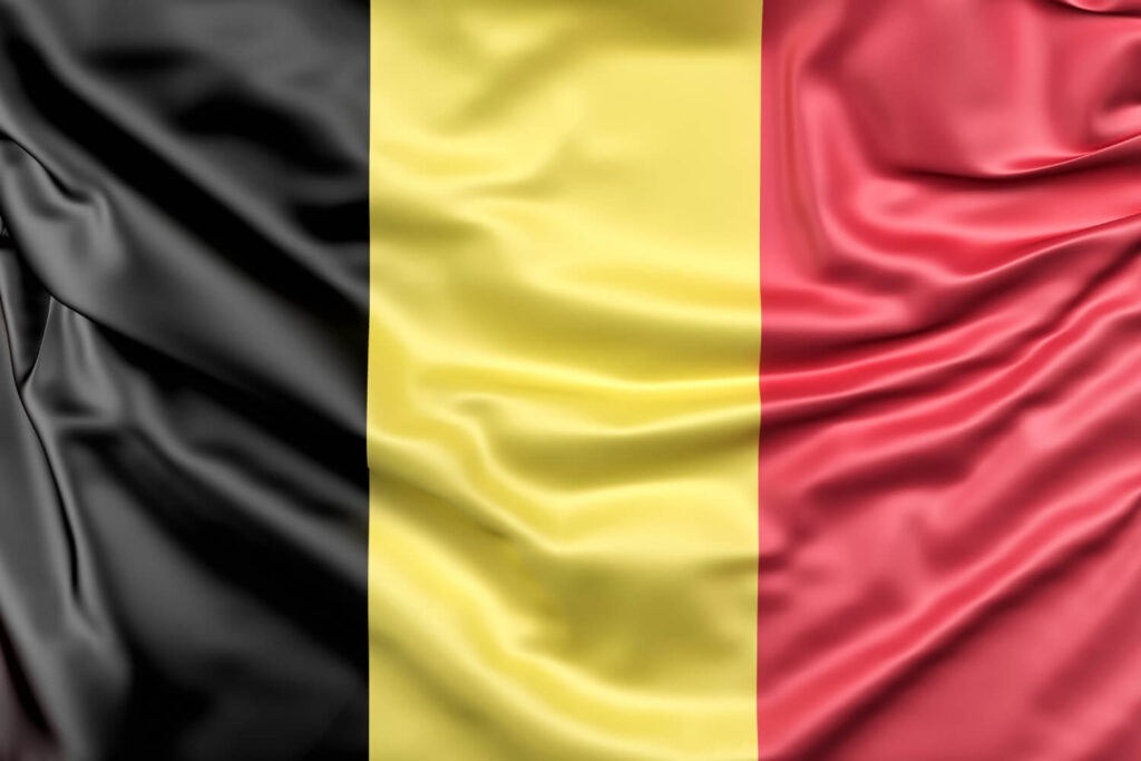 Expatriés Belges : où apprendre le français ?